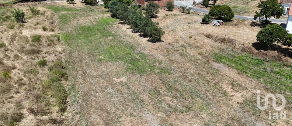 Terreno urbano em Alcoentre de 3 695 m²