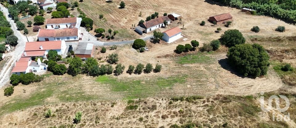Terreno urbano em Alcoentre de 3 695 m²