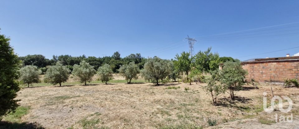 Terreno urbano em Alcoentre de 3 695 m²