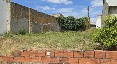 Land in Rio Maior of 306 m²