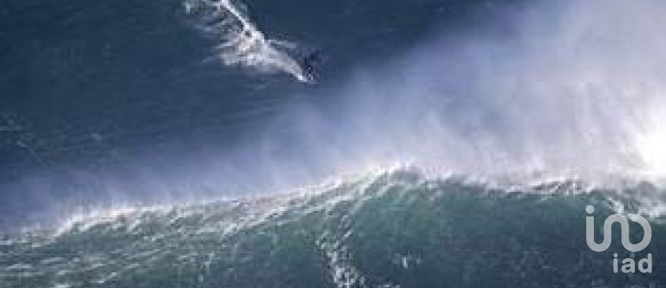 Land in Rio Maior of 306 m²