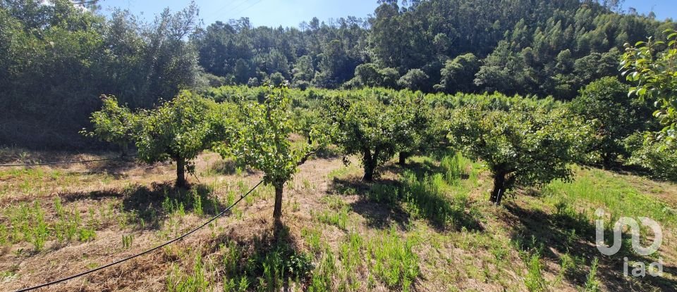 Terreno em Azueira e Sobral da Abelheira de 7 812 m²
