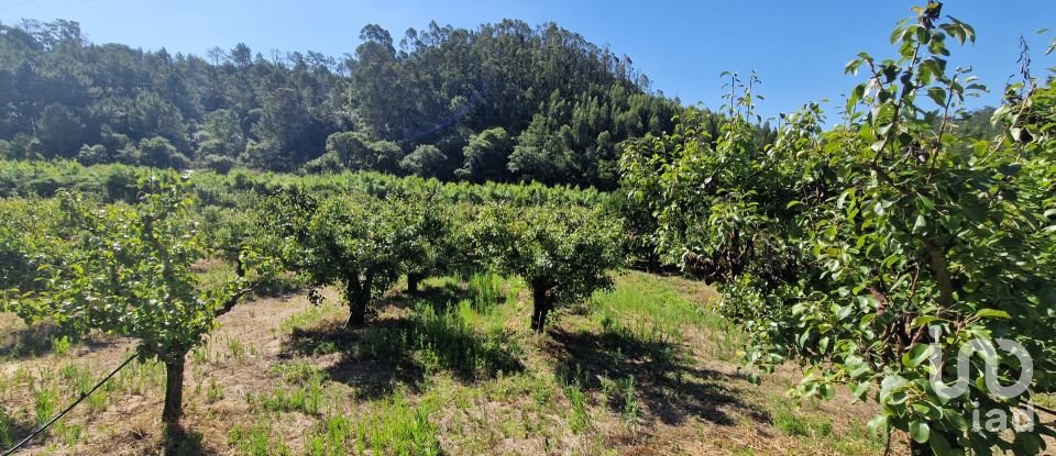 Terreno em Azueira e Sobral da Abelheira de 7 812 m²