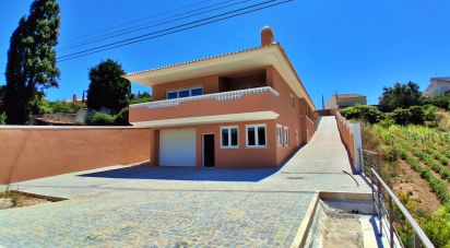 Lodge T3 in Salir de Matos of 279 m²