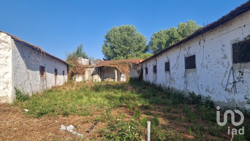 Maison T0 à Golpilheira de 3 294 m²