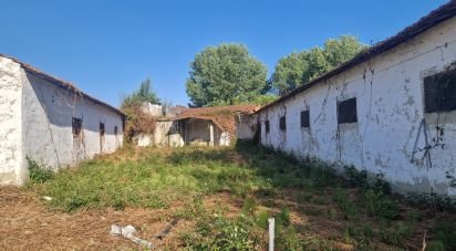 Maison T0 à Golpilheira de 3 294 m²