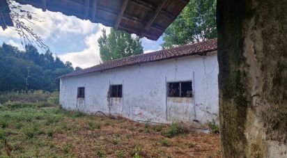 Maison T0 à Golpilheira de 3 294 m²