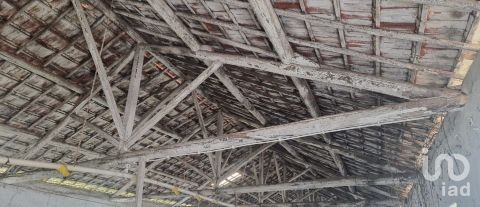 Maison T0 à Golpilheira de 3 294 m²