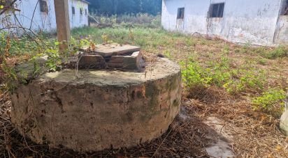 Maison T0 à Golpilheira de 3 294 m²