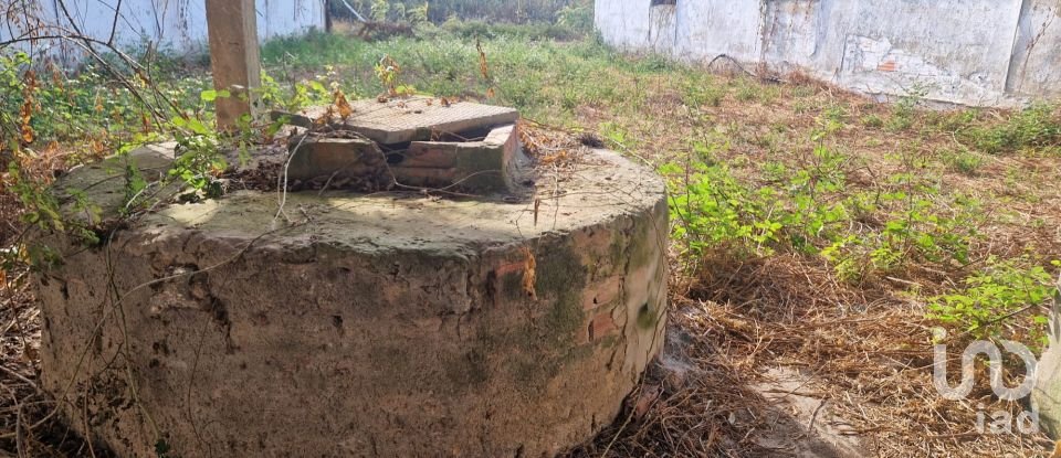 Maison T0 à Golpilheira de 3 294 m²