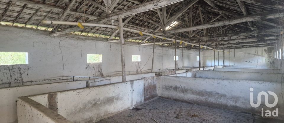 Maison T0 à Golpilheira de 3 294 m²