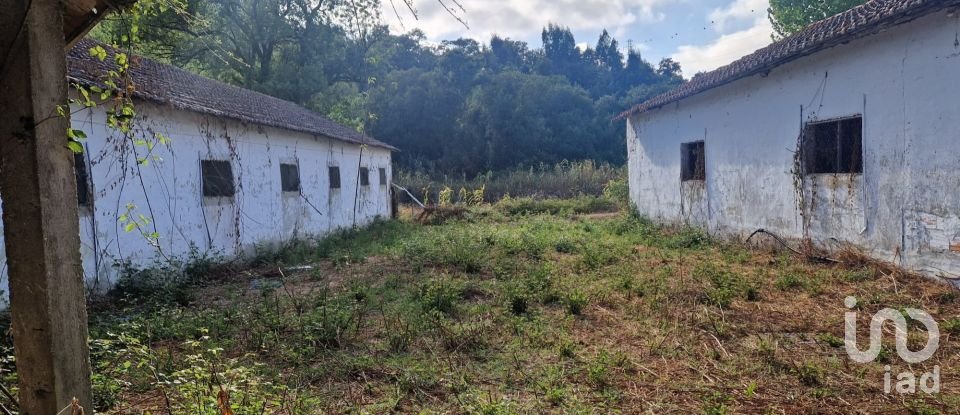 Maison T0 à Golpilheira de 3 294 m²