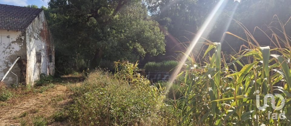 Maison T0 à Golpilheira de 3 294 m²