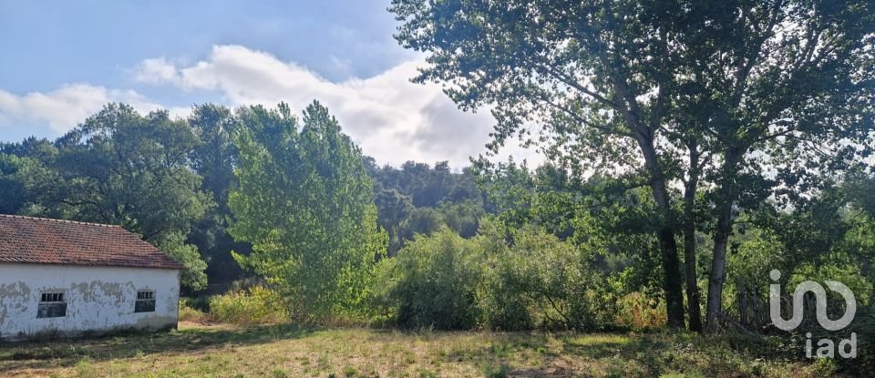 Maison T0 à Golpilheira de 3 294 m²