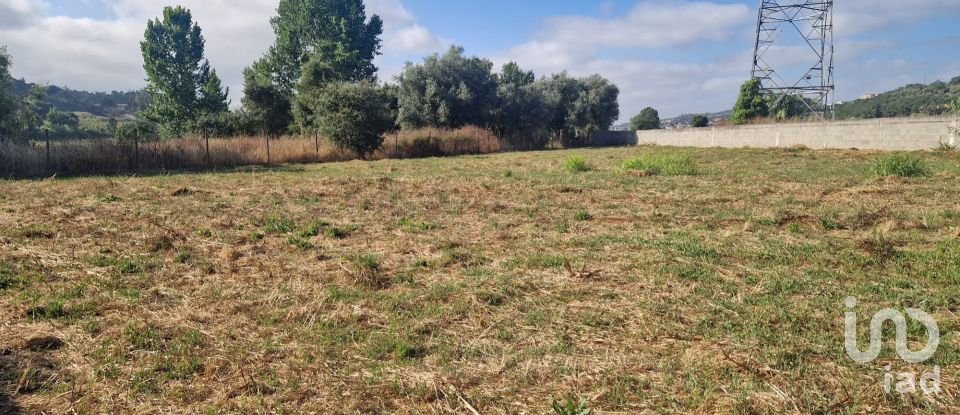 Maison T0 à Golpilheira de 3 294 m²