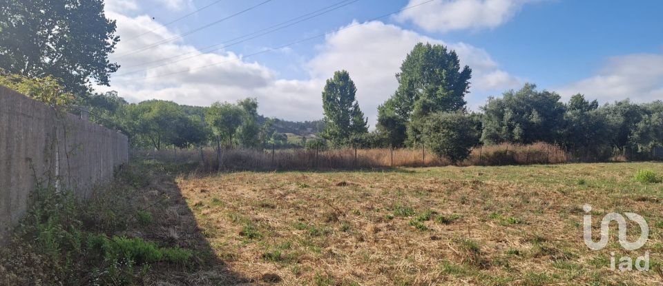 Maison T0 à Golpilheira de 3 294 m²