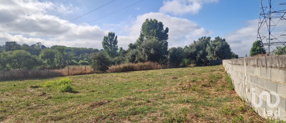 Maison T0 à Golpilheira de 3 294 m²