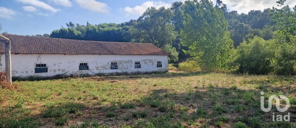 Maison T0 à Golpilheira de 3 294 m²