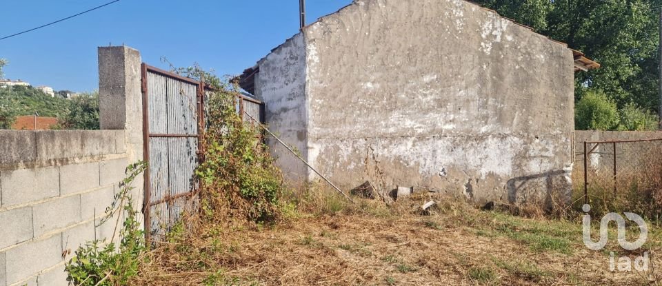 Maison T0 à Golpilheira de 3 294 m²