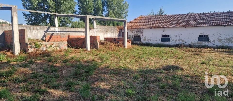 Maison T0 à Golpilheira de 3 294 m²