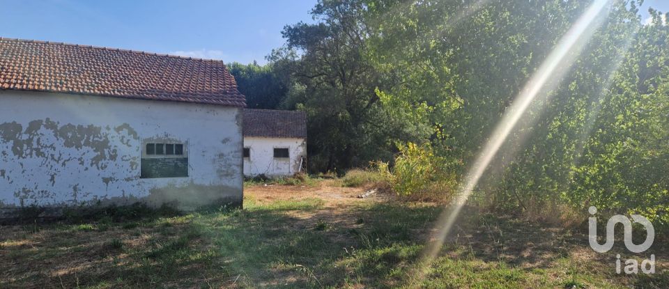 Maison T0 à Golpilheira de 3 294 m²