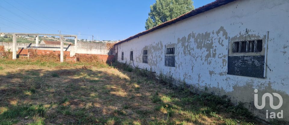 Maison T0 à Golpilheira de 3 294 m²