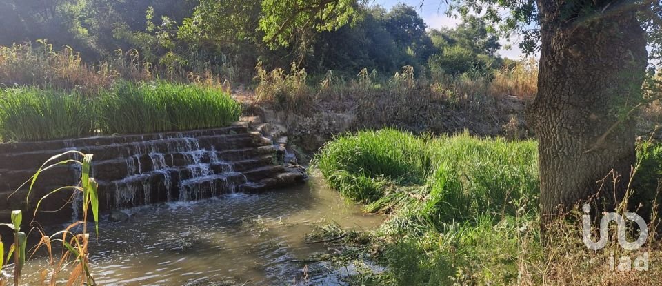 Maison T0 à Golpilheira de 3 294 m²