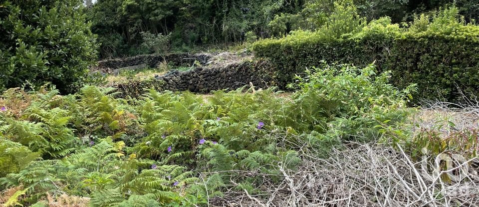 House T2 in Urzelina (São Mateus) of 40 m²