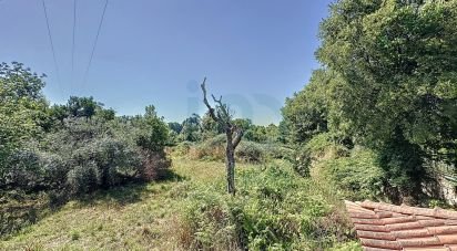 Ferme T6 à Travassós de 362 m²