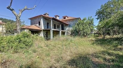 Ferme T6 à Travassós de 362 m²