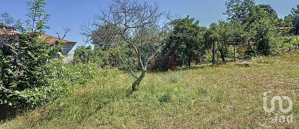 Quinta T6 em Travassós de 362 m²