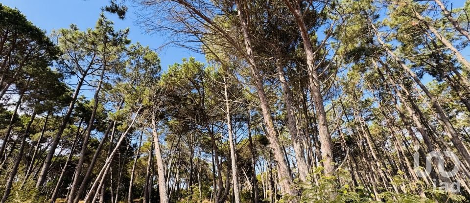 Moradia T3 em Sesimbra (Castelo) de 170 m²