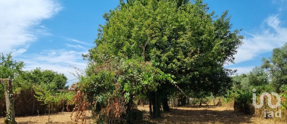 Moradia T1 em Sarzedo de 60 m²