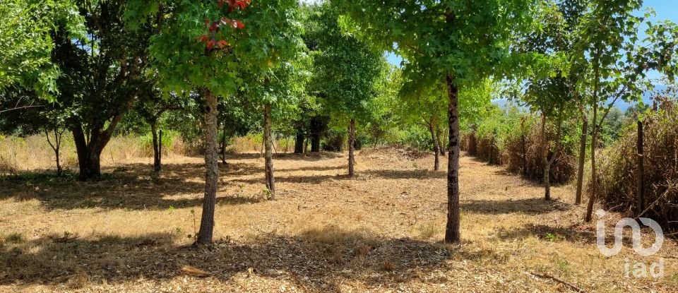 Moradia T1 em Sarzedo de 60 m²