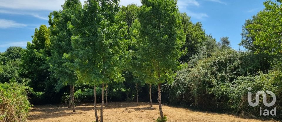 Moradia T1 em Sarzedo de 60 m²