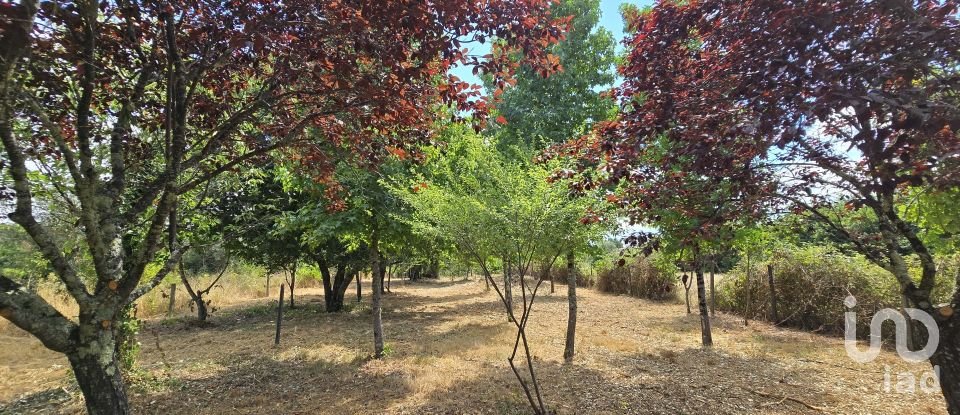 Moradia T1 em Sarzedo de 60 m²