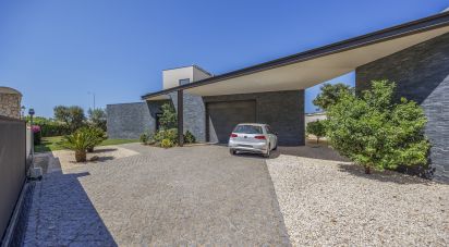 Maison T3 à Luz de 302 m²