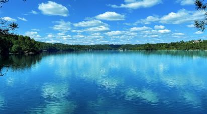 Terrain à bâtir à Serra e Junceira de 372 860 m²