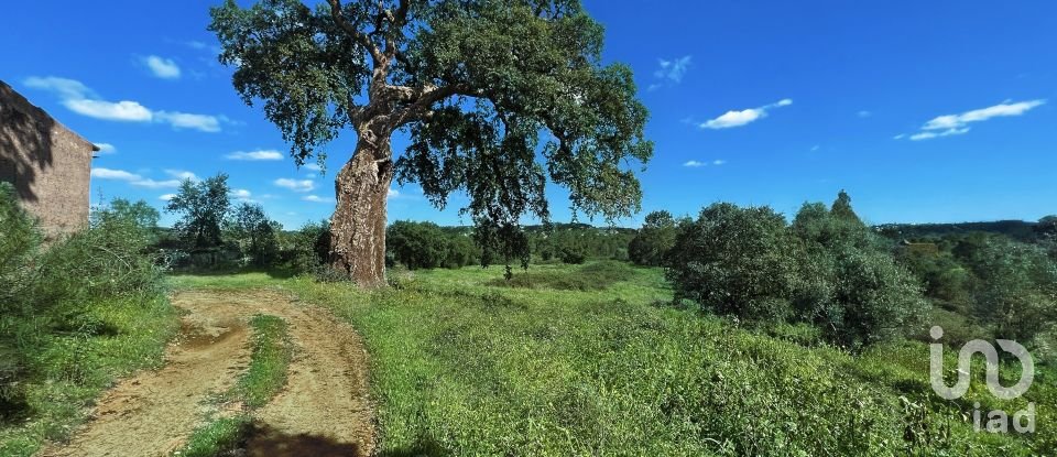 Terrain à bâtir à Serra e Junceira de 372 860 m²