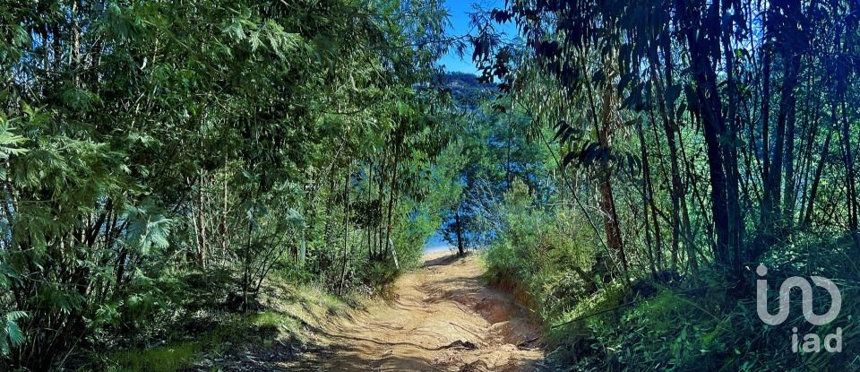 Terrain à bâtir à Serra e Junceira de 372 860 m²