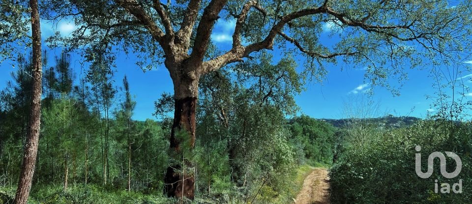 Terrain à bâtir à Serra e Junceira de 372 860 m²