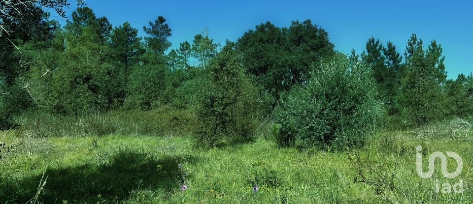 Terrain à bâtir à Serra e Junceira de 372 860 m²