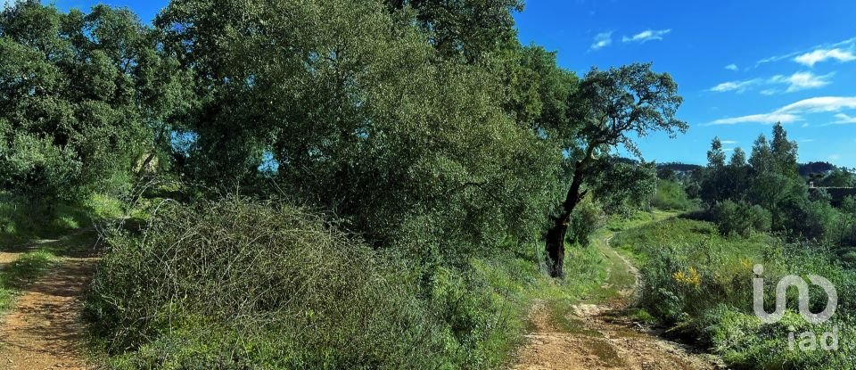 Terrain à bâtir à Serra e Junceira de 372 860 m²