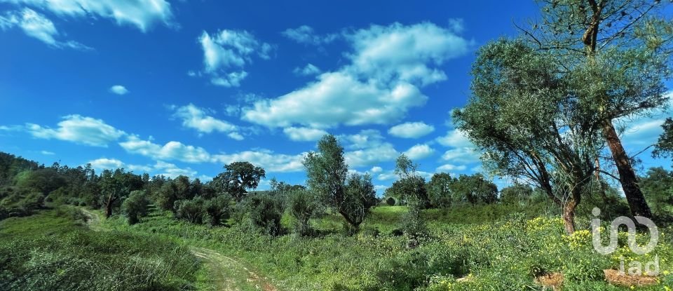 Terrain à bâtir à Serra e Junceira de 372 860 m²