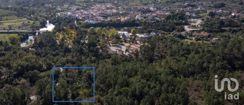 Terreno em Sarzedo de 3 600 m²