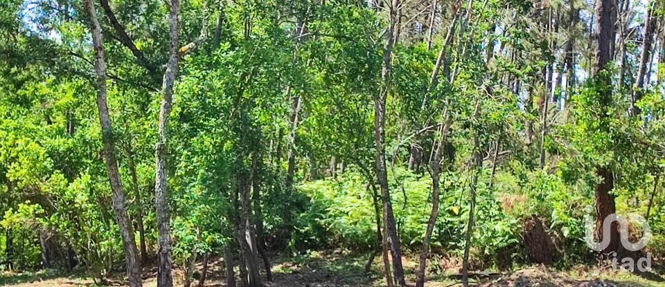 Terreno em Sarzedo de 3 600 m²