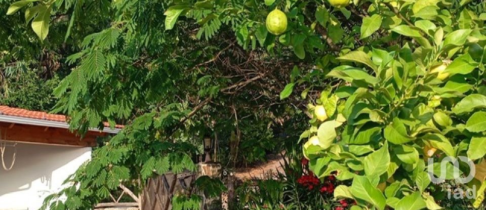 Moradia T4 em Pedrógão Pequeno de 120 m²