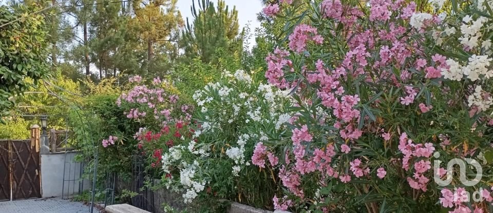 Moradia T4 em Pedrógão Pequeno de 120 m²