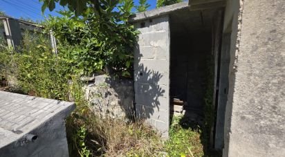 Terrain à Cacia de 774 m²