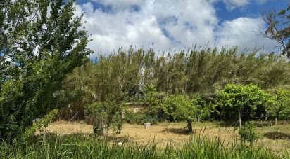 Land in Maiorga of 1,020 m²